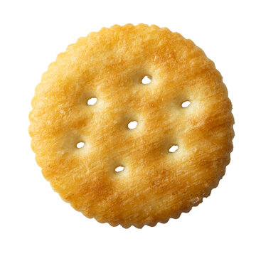 A piece of round salted cracker
