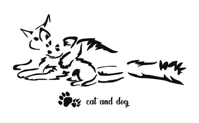 Friendship between a cat and a small chihuahua dog. Gestalt animal design