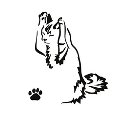 The kitten sits on its hind legs. Gestalt animal design