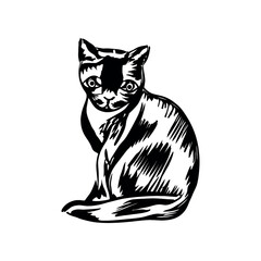 Black cat sitting alone. Silhouette on a white background