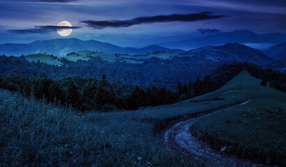 landscape with empty rural road to coniferous forest through the grassy hillside meadow on high mountain range at night. wonderful countryside scenery in full moon light