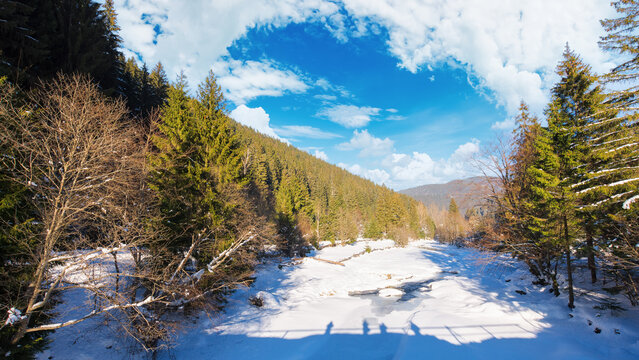 mountainous countryside landscape with frozen river and snow covered shore among forest in the rural valley. sunny nature scenery in winter