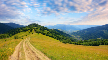 Fototapeta premium dirt road through grassy meadow. rural landscape of carpathian mountains. outdoor recreation in summer. travel ukraine
