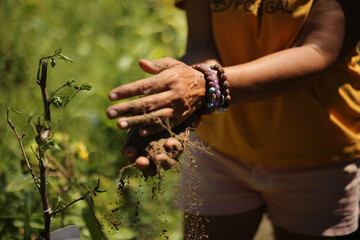 Conexão com a Terra: Mãos femininas delicadas mergulham na terra de Portugal, plantando com...