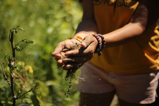 Conex&atilde;o com a Terra: M&atilde;os femininas delicadas mergulham na terra de Portugal, plantando com carinho um p&eacute; de pera. Um gesto que celebra a harmonia entre as m&atilde;os humanas e a terra f&eacute;rtil, cultivando a 