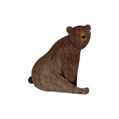 Watercolor sitting bear illustration - hand drawing woodland animal on white background, isolated.