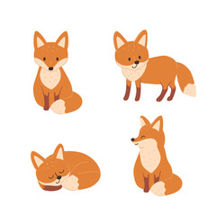 Set with cute foxes in different poses. Collection of childish animals for kids design. Doodle hand drawn vector illustration.