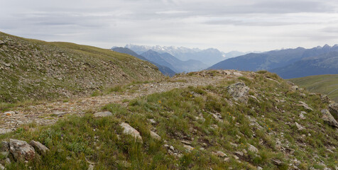 Chemin vers les sommets