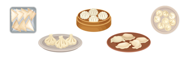 Various Dumplings of Cooked Dough with Filling Vector Set