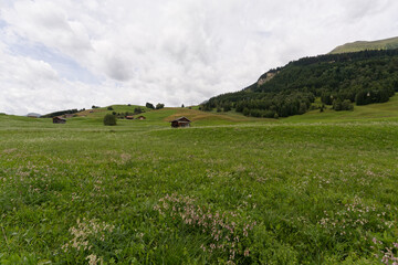 Obraz premium Alpage en montagne