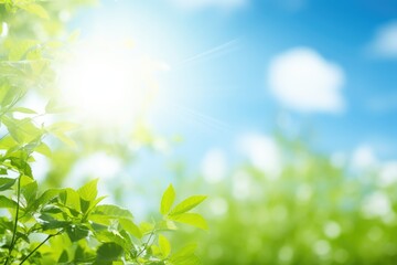 Fototapeta premium Under the bright sun. Abstract natural backgrounds