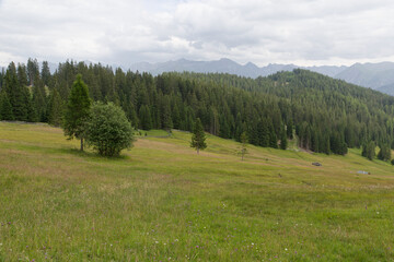 Vallée