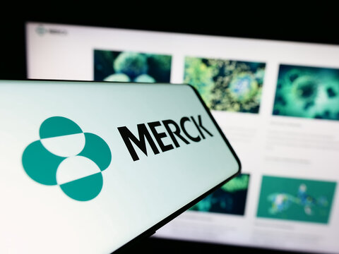 Stuttgart, Germany - 08-13-2023: Smartphone with logo of American pharmaceutical company Merck Co. Inc. on screen in front of website. Focus on center-left of phone display.