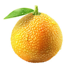 Ugli Fruit , Isolated On Transparent, PNG
