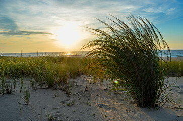 Sunrise over a sand dune