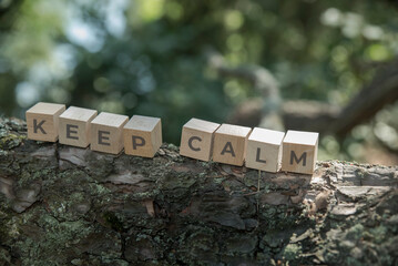 Napis KEEP CALM na drewnianych klockach na tle konaru i zieleni lasu jako oazy spokoju.