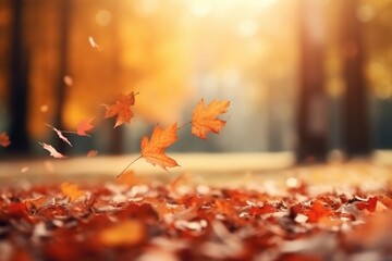 Close Up Beautiful Autumn Landscape
