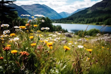Papier Peint photo autocollant Viaduc de Glenfinnan Wildflowers Along A Hike Near Glenfinnan And Lake