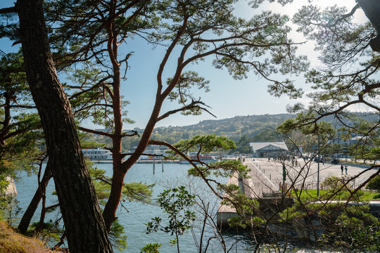 Matsushima harbor view with green pine trees in Miyagi, Japan