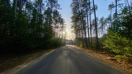 road in the forest