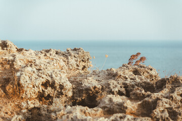 Fototapeta na wymiar rocks on the beach