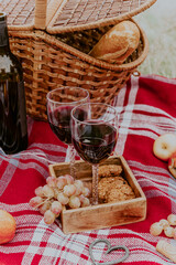 Autumn outdoor picnic set. A bottle of red wine, two wine glasses, checked plaid, grape, apple and...