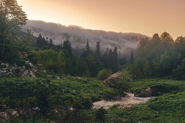 Dawn in the mountain forest. Fog descends over the mountains.