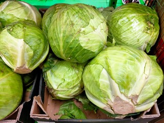 A bunch of white cabbage in cardboard boxes in close-up. Green vegetables in the store.