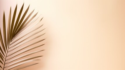 Fototapeta premium Minimalist background with palm leaves