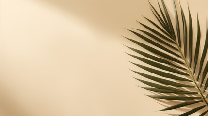 Minimalist background with palm leaves