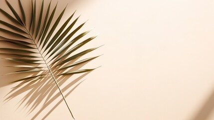 Fototapeta premium Minimalist background with palm leaves
