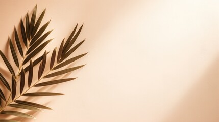 Minimalist background with palm leaves