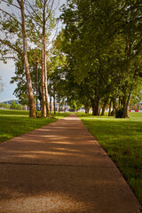 A beautiful view of the sky over the park.