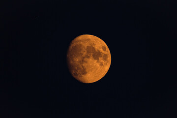harvest moon