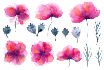 Set of bright magenta pink watercolor poppies flowers with indigo blue leaves. Abstract expressive transparent poppy flower illustrations for invitation, wedding, greeting cards design, sticker