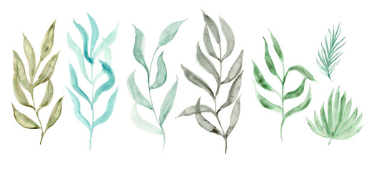Set of delicate watercolor green, blue and gray leaves and branches. Watercolour botanical elements for textile design, patterns, poster, wedding decor