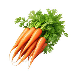 Carrots against transparent background