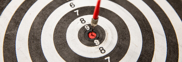Darts arrows in the target