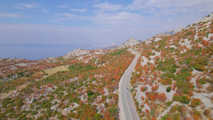 AERIAL: Spectacular scenery along coastal highway in colorful autumn season - obrazy, fototapety, plakaty