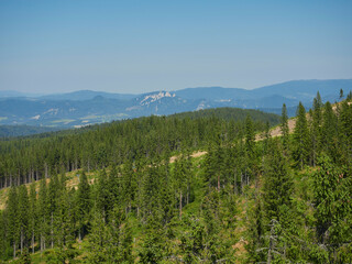 Paisaje de los Montes Pieninos con Trzy Korony de fondo © danielarenas