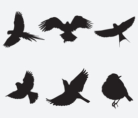 Vector Collection of Bird Silhouettes