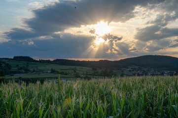 COUCHE DE SOLEIL