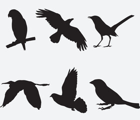 Vector Collection of Bird Silhouettes