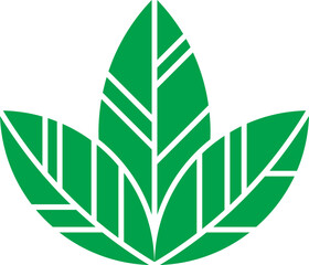 Fototapeta premium Leaf Fill Icon