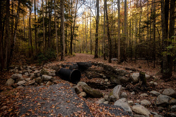 Road Washout Along Greenbrier Road