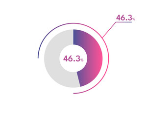46.3 Percentage circle diagrams Infographics vector, circle diagram business illustration, Designing the 46.3% Segment in the Pie Chart.
