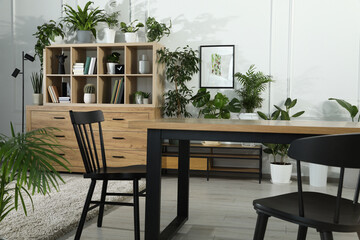 Table with chairs and wooden shelving unit, books and many potted houseplants in stylish room