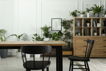Table with chairs and wooden shelving unit, books and many potted houseplants in stylish room