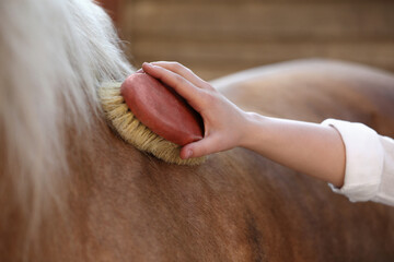 Woman brushing adorable horse outdoors, closeup. Pet care © New Africa