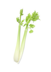 Obraz premium Fresh stalks of celery isolated on white, top view